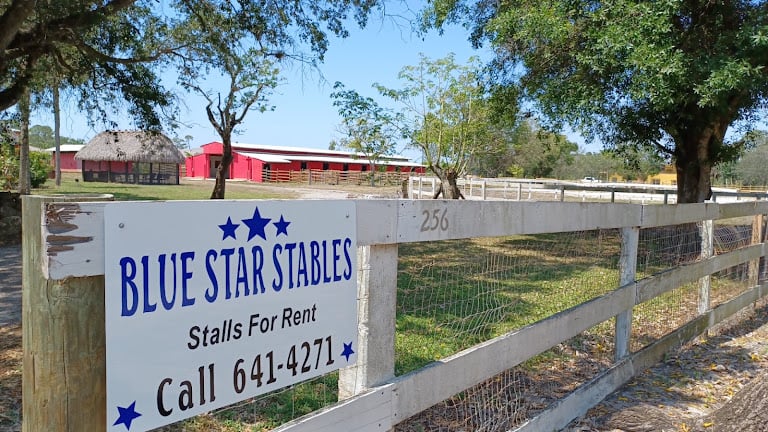 Blue Star Stables