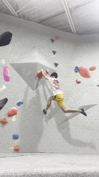 Blue Swan Boulders — Orlando, Florida (3)