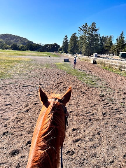 Boarding at Webb Ranch — Portola Valley