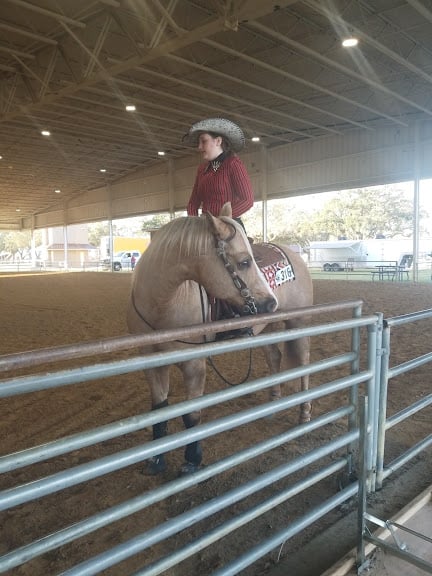 Bob Thomas Equestrian Center — Tampa, Florida (2)