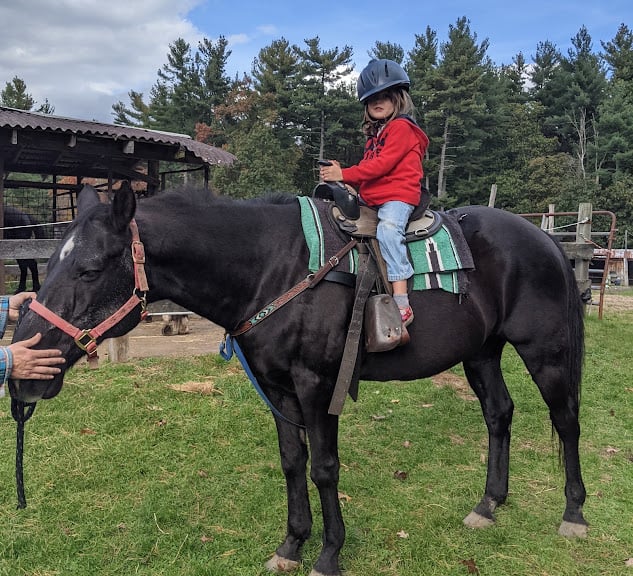 Bobby's Ranch — Westford, Massachusetts (2)