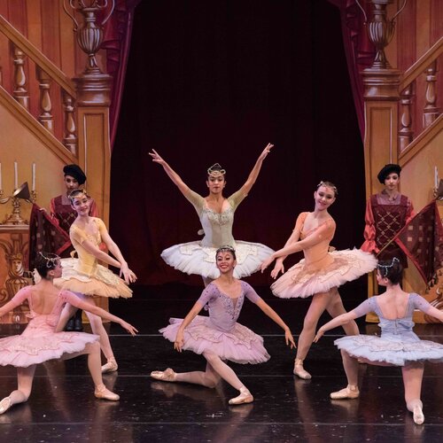 Boca Ballet Theatre — Boca Raton, Florida (3)