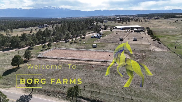 Borg Farms Boarding & Equestrian Center — Colorado Springs, Colorado (2)