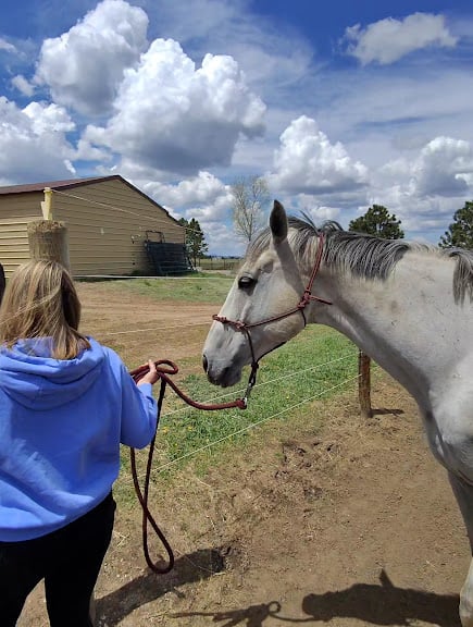 Borg Farms Boarding & Equestrian Center — Colorado Springs, Colorado (3)