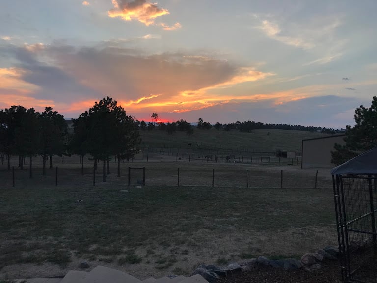 Borg Farms Boarding & Equestrian Center