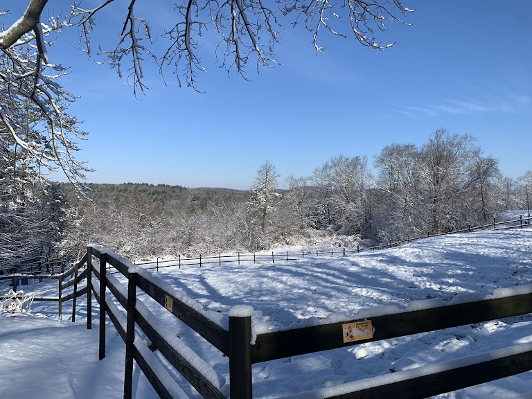 Boston Equestrian Center — North Oxford, Massachusetts (2)