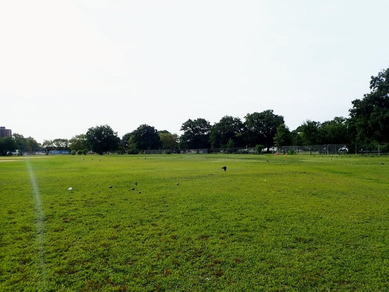 Breukelen Ballfields — Brooklyn, New York (2)