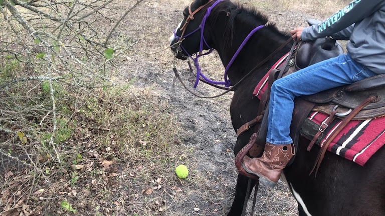 Broken Bow Ranch — Seagoville, Texas (2)