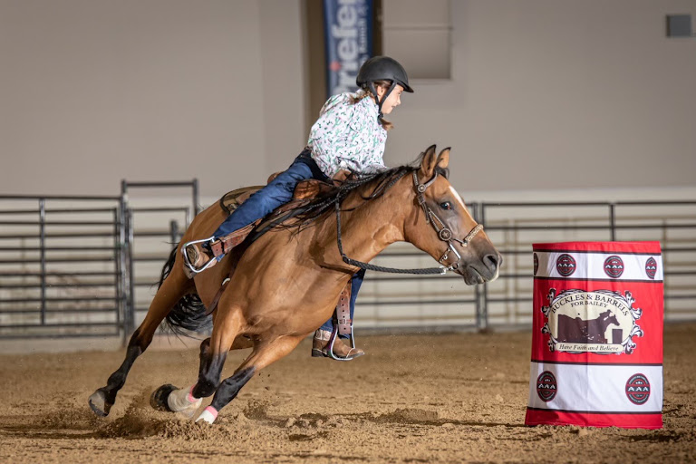 Cadence Horsemanship — Peoria, Arizona (2)