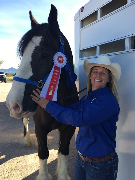 Cadence Horsemanship — Peoria, Arizona (3)