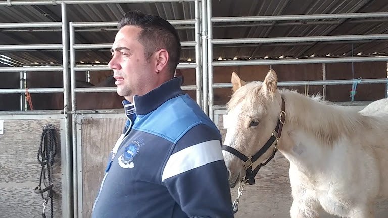 Cantera Equestrian — Ridgefield, Washington (3)