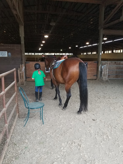 Cantera Equestrian