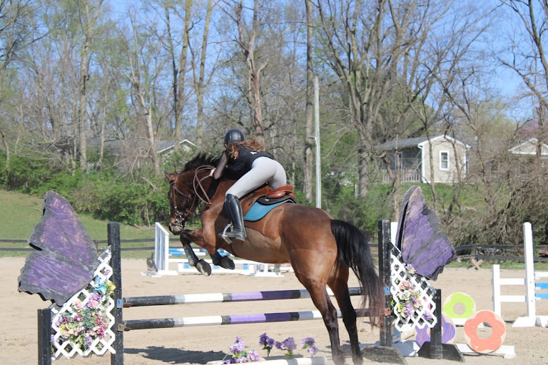 Canterbury Manor Stables