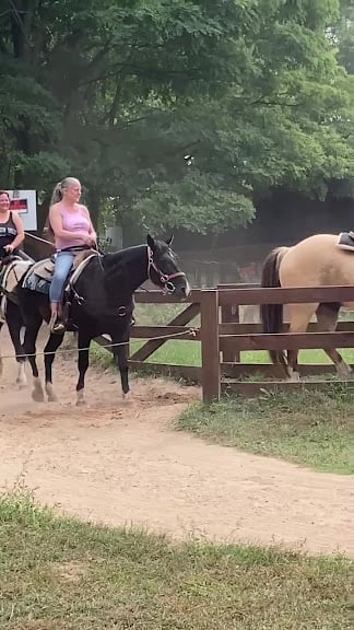 Canyon Creek Horseback Riding Stable — Lake Delton, Wisconsin (3)