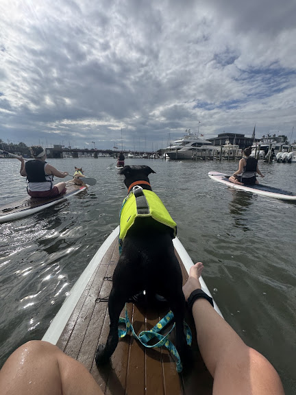 Capital SUP - Downtown Annapolis ~ Spa Creek — Annapolis, Maryland (2)