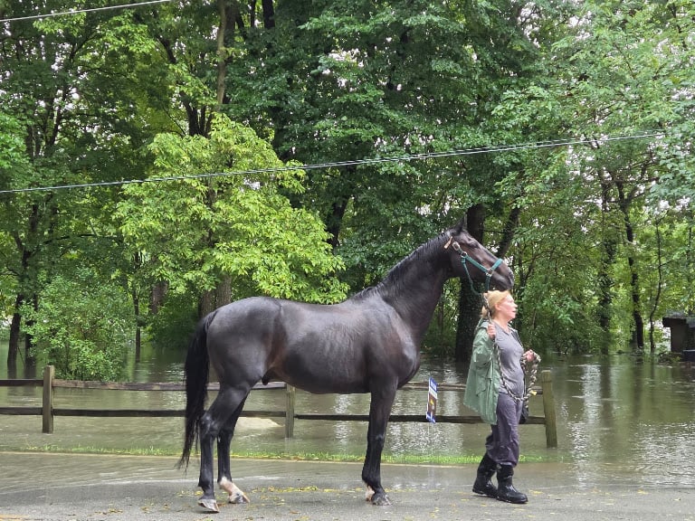 Carmel Equestrian Center
