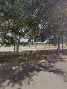 Carol Kennedy Field