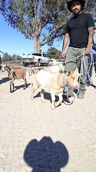 Cavalry Ranch — Marina, California (3)
