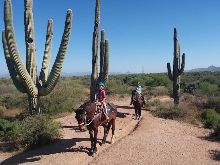 Cave Creek Outfitters, Horseback Riding, UTV/ATV Rental (Booking Office)