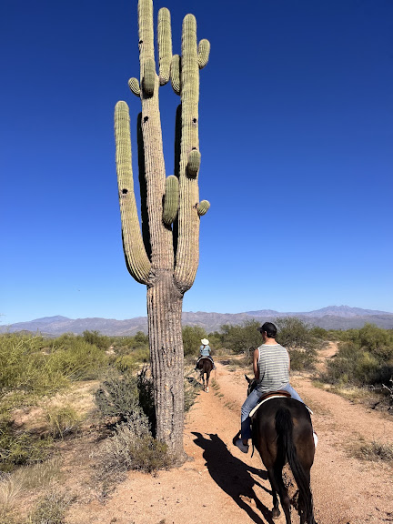 Cave Creek Outfitters, Horseback Riding, UTV/ATV/SXS PJ’s Rentals — Sports Club in Scottsdale, Arizona