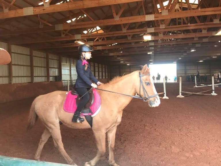 Celtic Cross Equestrian Center — Equestrian venue in Norman, Oklahoma