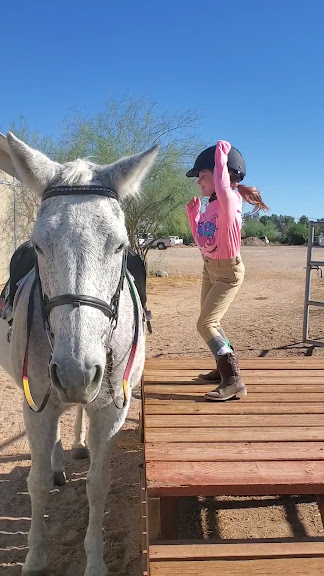 Central Arizona Riding Academy — San Tan Valley, Arizona (3)