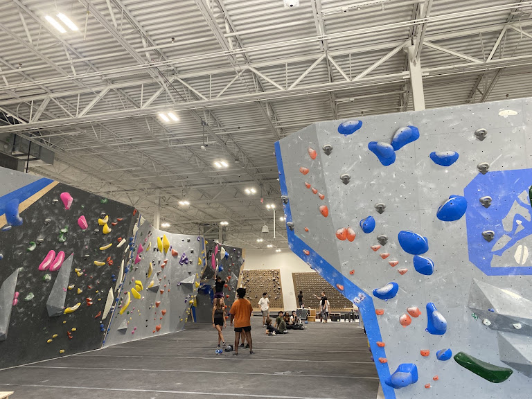 Central Rock Gym – Orlando — Gym venue in Orlando, Florida