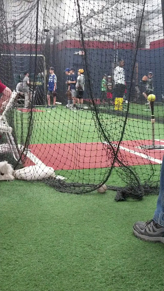 Chad Moeller Baseball
