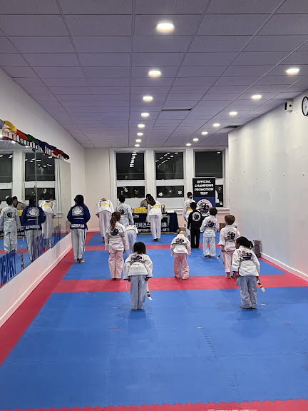 Champions Martial Arts Brooklyn Heights — Brooklyn, New York (2)