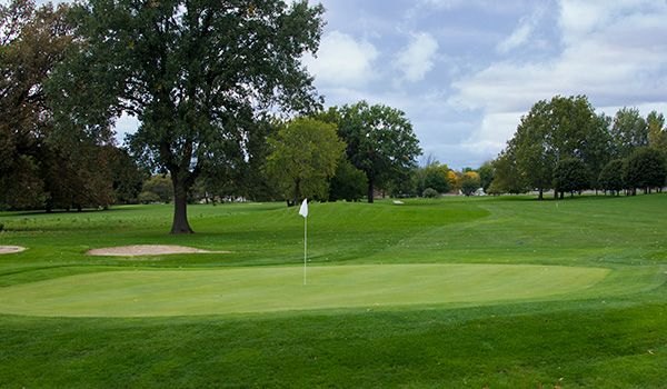 Chandler Park Golf Course — Golf venue in Detroit, Michigan