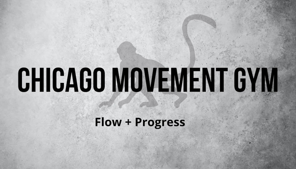 Chicago Movement Gym — Gym venue in Chicago, Illinois