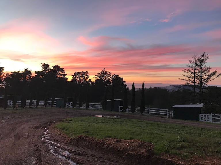 Ciara West Equestrian — Sports Club in Woodside, California