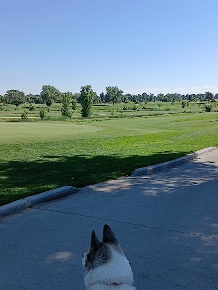City Park Golf Course — Denver, Colorado (3)