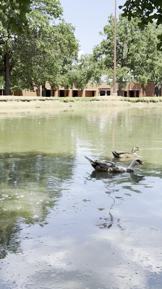 Cliff Nelson Park — Arlington, Texas (3)