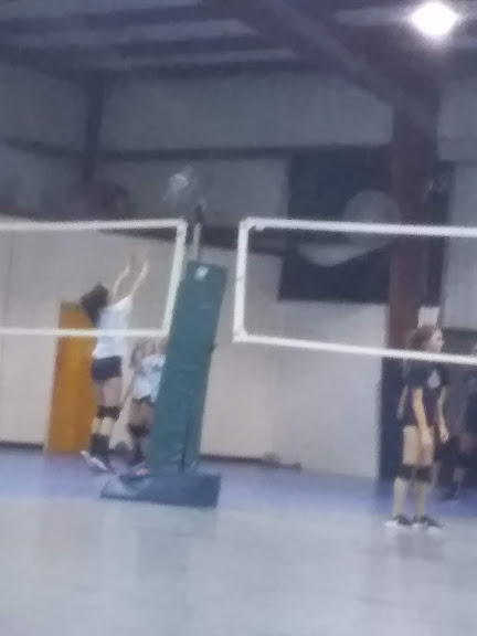 Club Steel Volleyball — Land O' Lakes, Florida (2)