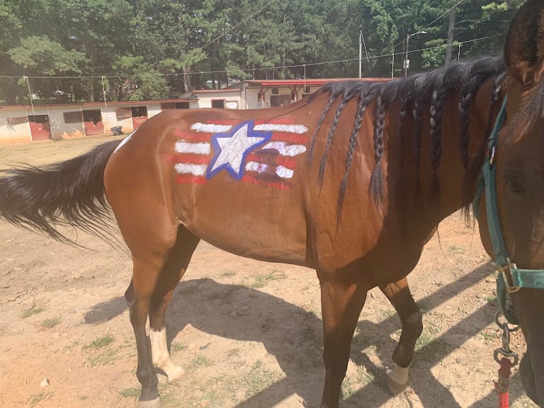 Corral Ranch Horse Boarding Pony Parties Events — Ellenwood, Georgia (2)