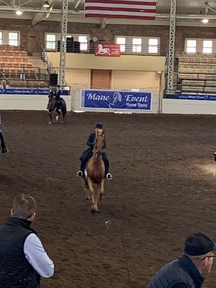 Country Meadow Farm — Equestrian venue in Mokena, Illinois