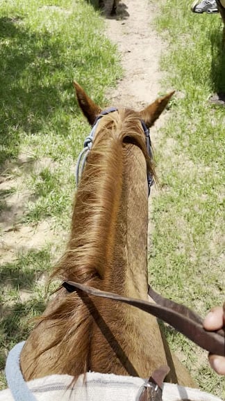 Cowboy Country Life — Waller, Texas (3)