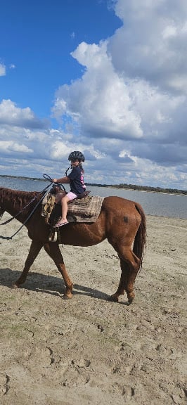 Cowboy Country Life