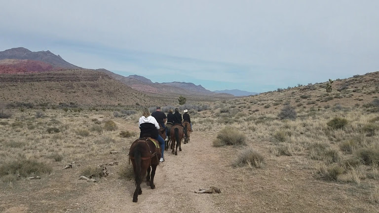 Cowboy Trail Rides — Las Vegas, Nevada (3)