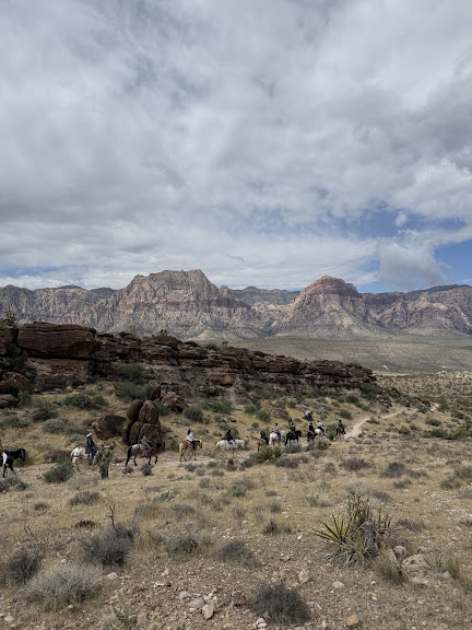 Cowboy Trail Rides