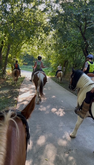 Coyote Creek Stables