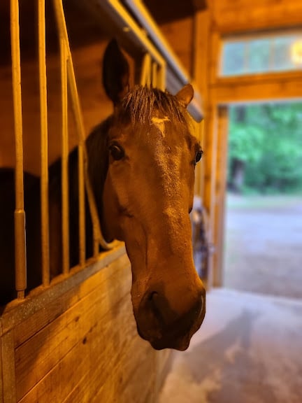 Creek Crossing Farm — Equestrian venue in Massachusetts