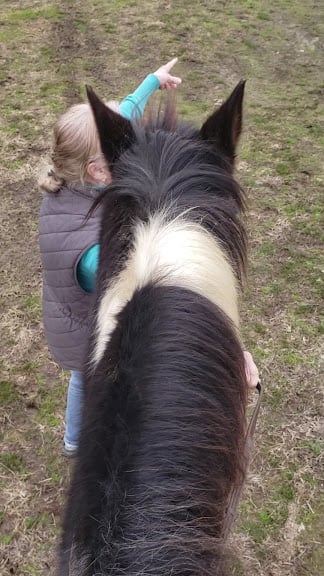 Creekside Riding Academy & Stables — Columbia, Tennessee (3)