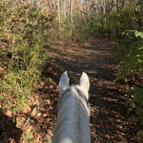 Creekside Riding Academy & Stables