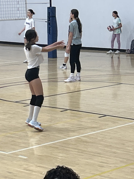 Creole Juniors Big Apple Volleyball Club