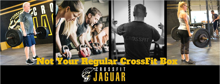 CrossFit Jaguar Tampa — Tampa, Florida (2)