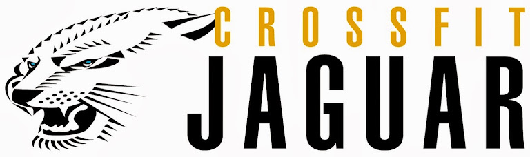 CrossFit Jaguar Tampa — Tampa, Florida (3)