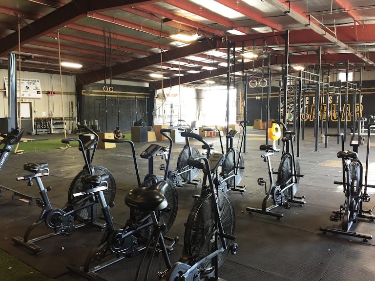 CrossFit Jaguar Tampa — Gym venue in Tampa, Florida