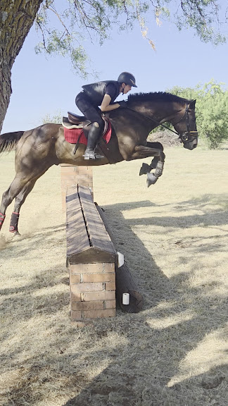 Curragh Equestrian Center — Fort Worth, Texas (2)